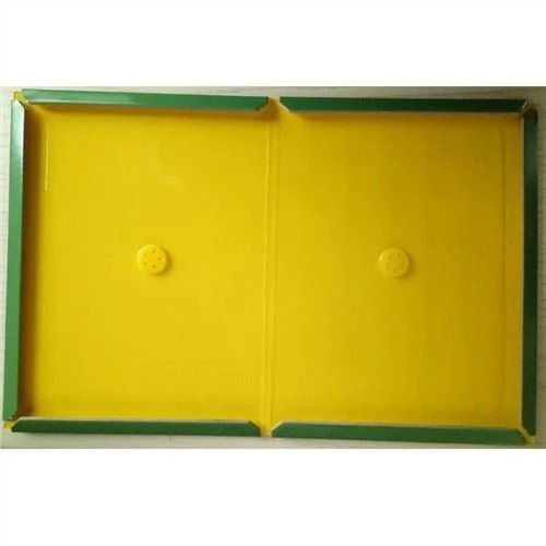 Captura de ratolins amb trampes de cola